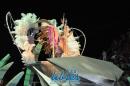 Comparsa Tradicin, desfile en la IV noche de carnaval